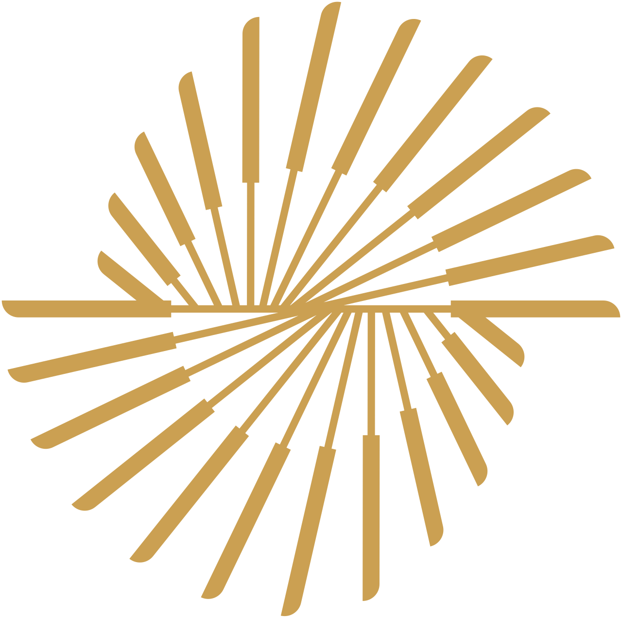 icononly_transparent_nobuffer